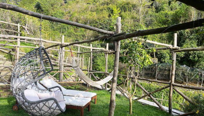 Seasonal Organic Garden